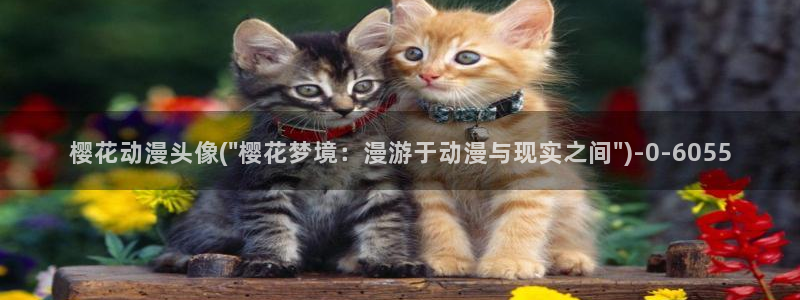 海贼王樱花动漫在线观看