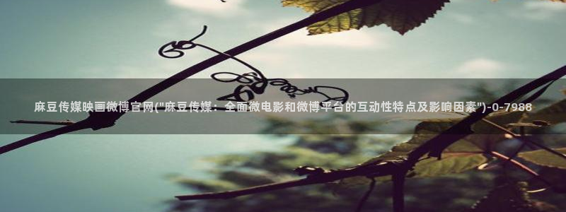 麻豆视频内容维护