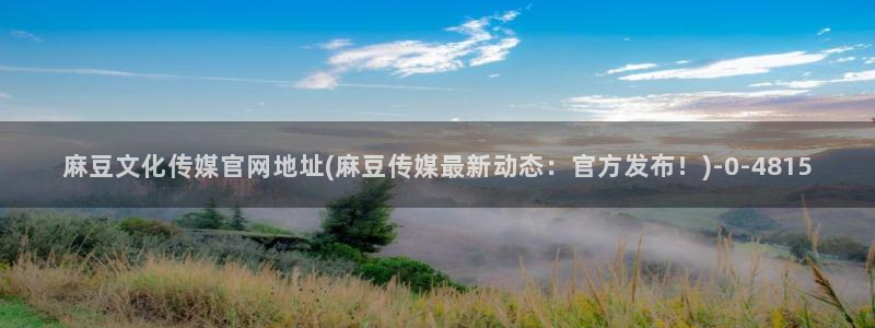 麻豆职场剧情
