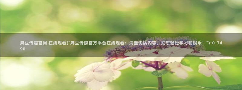麻豆视频内容质量