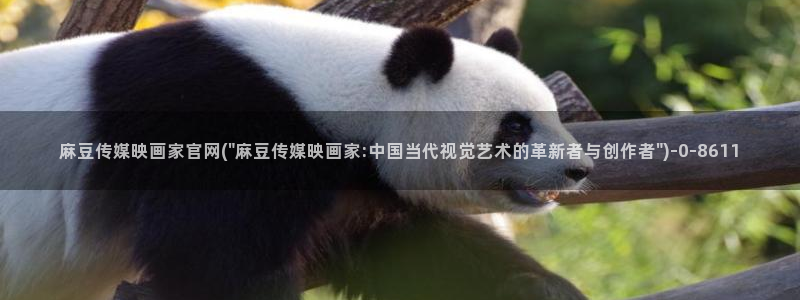 麻豆视频下载