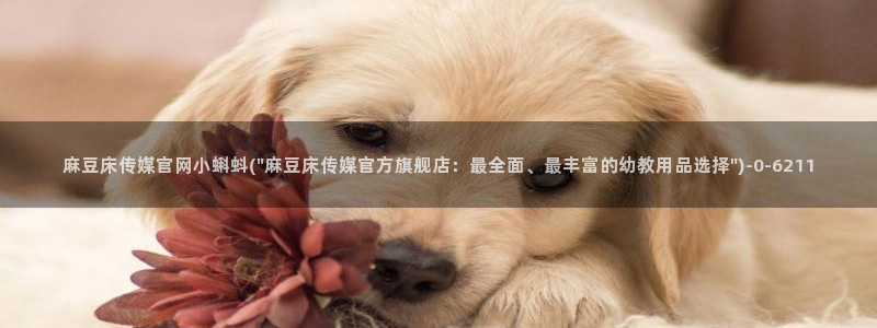 麻豆榜单描述