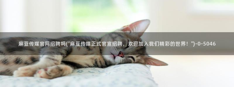 麻豆国产视频