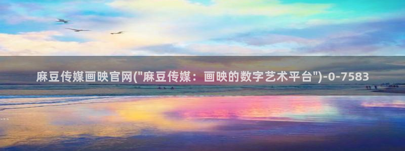 麻豆视频文章描述