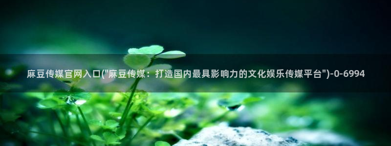 麻豆影视资讯