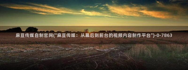 麻豆人物关系