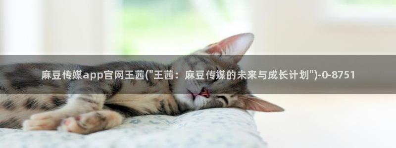 麻豆视频合集