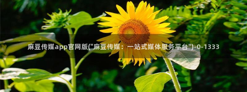 麻豆热门演员