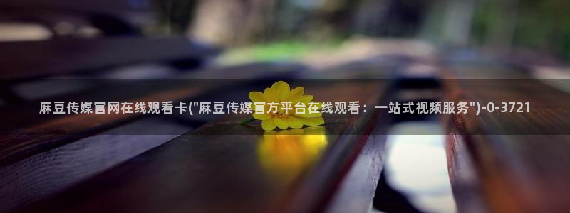 麻豆视频点评