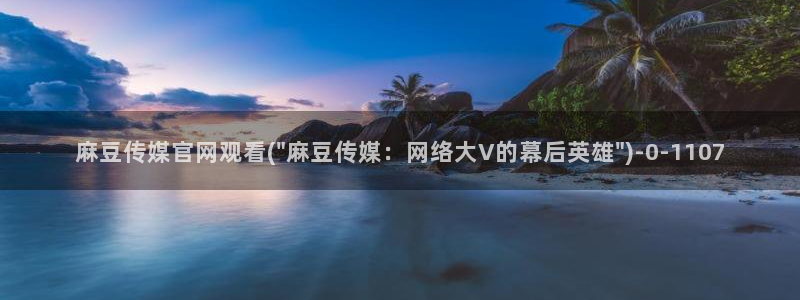 麻豆视频资料文案