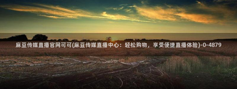 麻豆视频用户体验