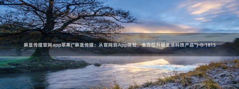 麻豆视频合作联系