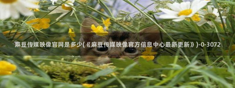 麻豆视频采集规则