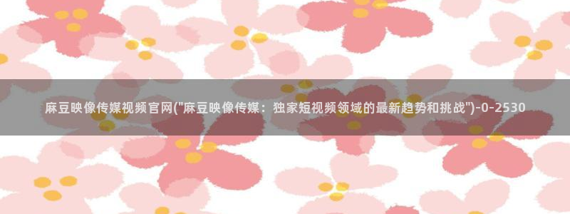 麻豆内容整理