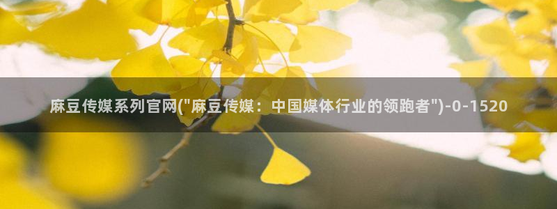 麻豆视频资源站