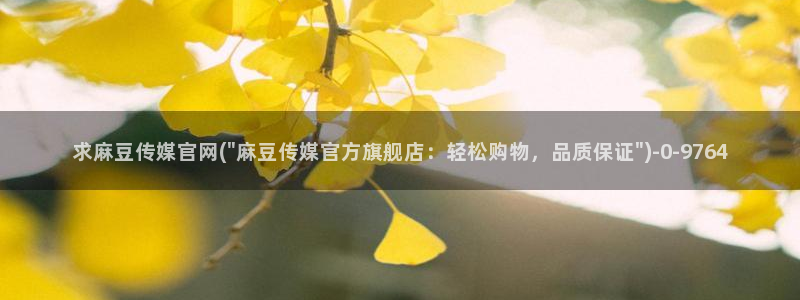 麻豆视频内链