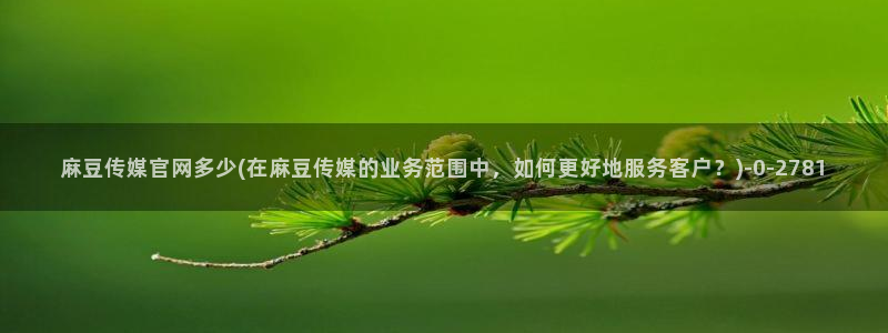 麻豆视频关键词