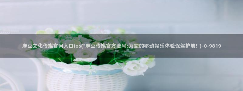 麻豆高清视频