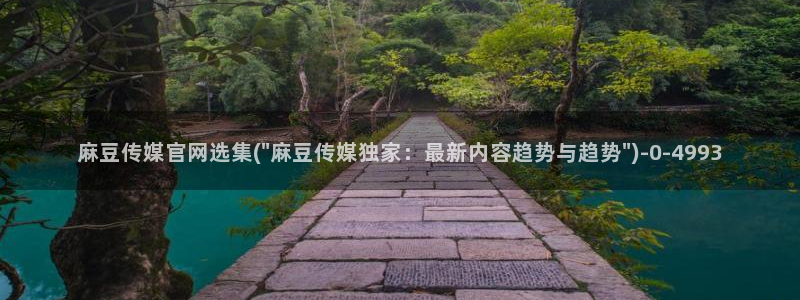 麻豆视频低竞争词