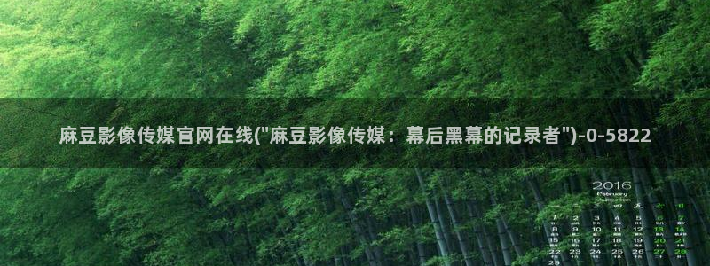 麻豆视频分类目录