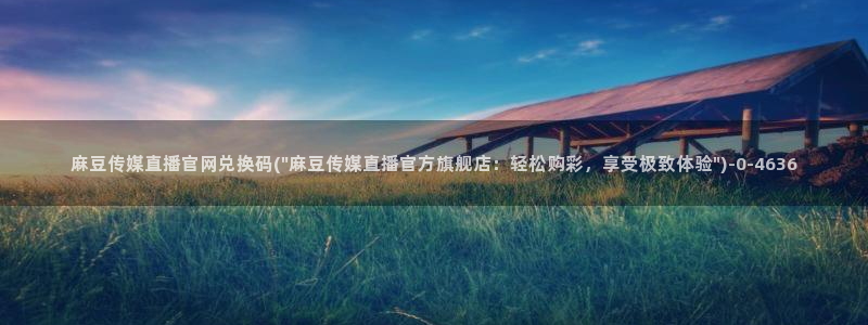 麻豆视频文章描述