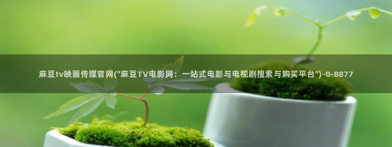 麻豆视频优质内容