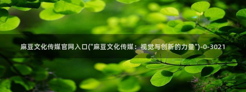 麻豆剧情解析