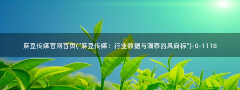 麻豆视频
