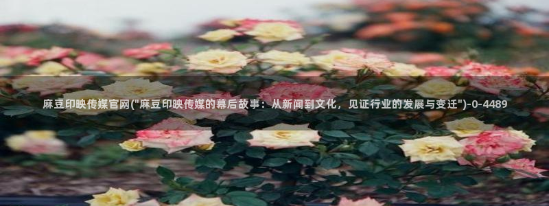 麻豆视频合集文案