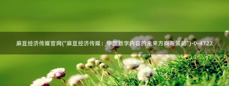 麻豆都市剧情