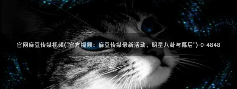 麻豆视频花絮
