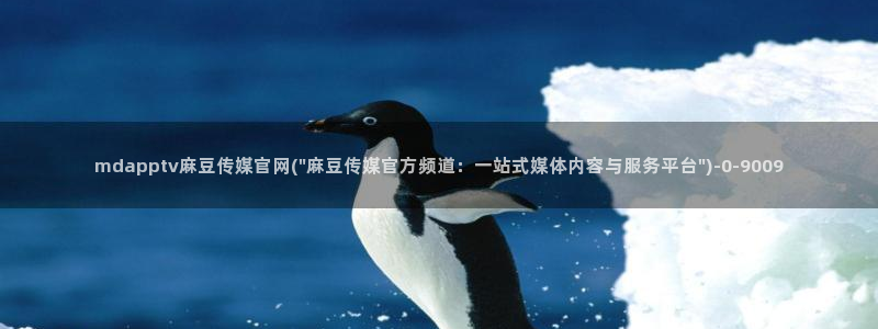 麻豆视频内链