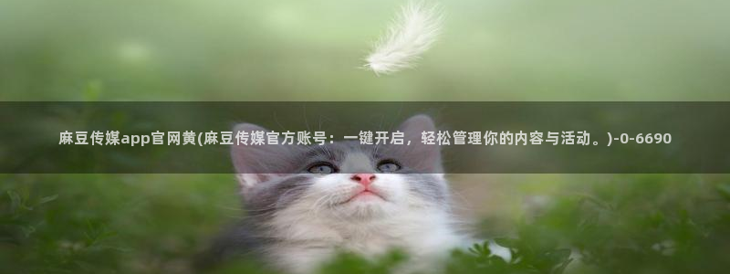 麻豆视频页面标题