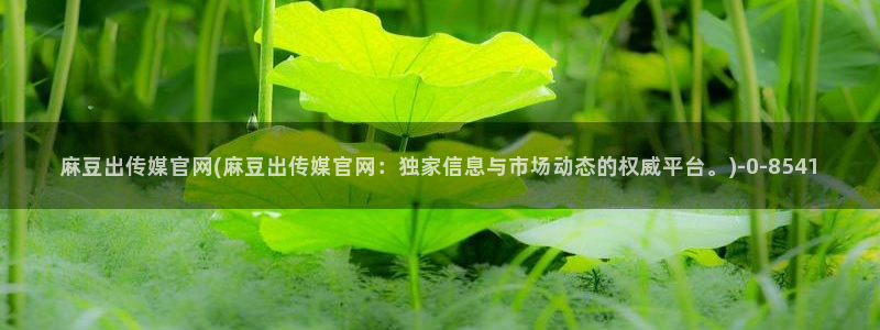麻豆剧情标题：麻豆出传媒官网(麻豆出传媒官网：独家信息与市场动态的权威平