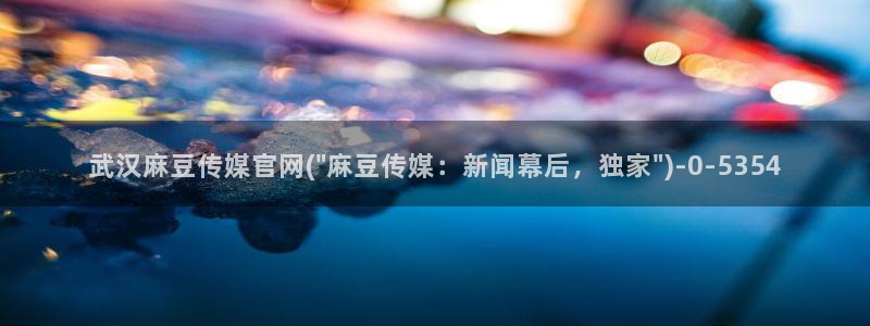 麻豆视频站