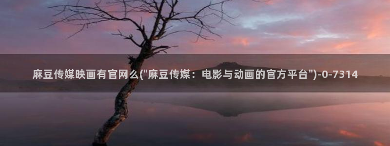 麻豆剧情描述