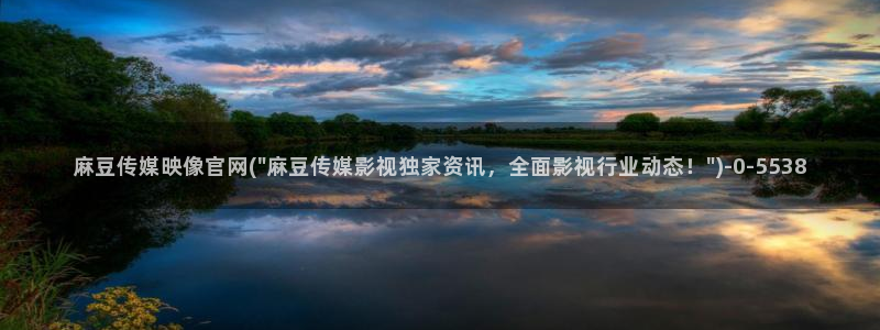麻豆系列视频：麻豆传媒映像官网(\