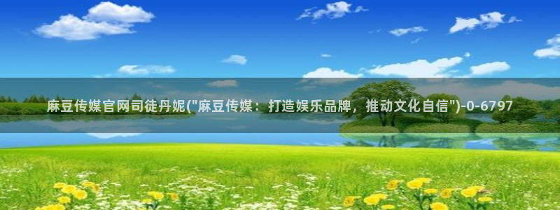 麻豆视频入口
