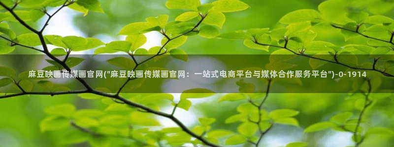 麻豆视频文章描述