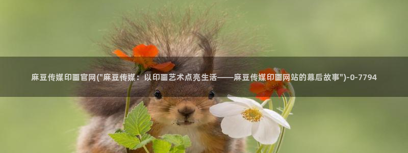 麻豆视频演员文案